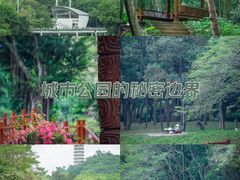 -深圳国际园林花卉博览园