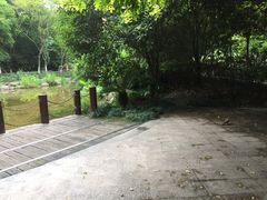 -新湖明珠城