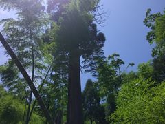 -仙霞关景区