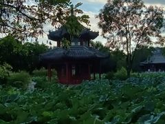 -莲池书院博物馆