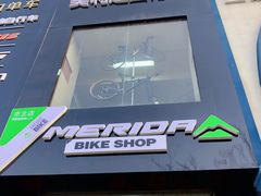 -道路口单车爱瓦士dahon大行