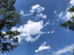 -茶颜悦色(平和堂负一楼店)