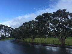 -Cornwall Park Bistro