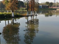 -海珠湖公园