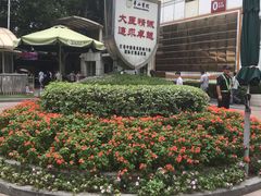 -复旦大学附属华山医院(总院)