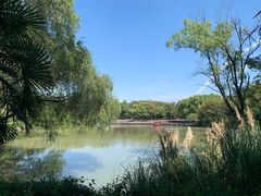 -西溪国家湿地公园