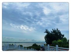 -宝安西湾红树林湿地公园