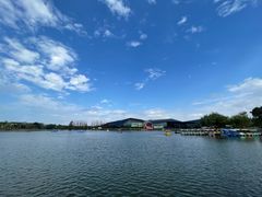 -上海长兴岛郊野公园