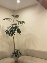 -HEYAN荷妍专业脱毛连锁机构