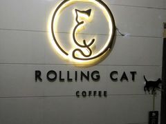 -滚猫咖啡·猫咖·猫友好撸猫(未来城店)