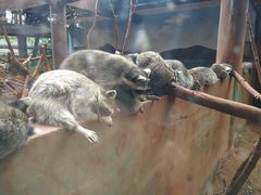 -昆明动物园