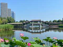 -西海子公园