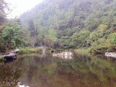 iphone_upload_pic-凤凰山国家森林公园