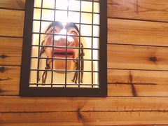 -冰川延边料理·炭烤串(原小木屋店)