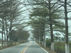 -台山第一家兴华黄鳝饭·黄鳝婆(开平店)