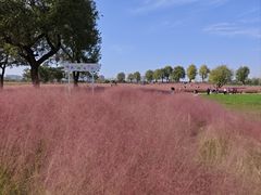 -汉长安城未央宫国家考古遗址公园