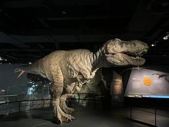 -浙江自然博物院(杭州馆)
