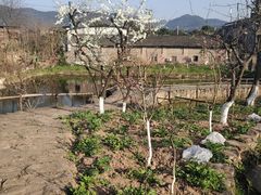 -驿舍·民國老营房院子私房菜(科学会堂店)