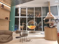 -飞行喵MR PILOT|猫舍·猫咖(静安大融城店)