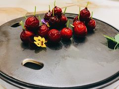 -美盛喜来登大酒店喜舍茶馆