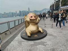 -星光大道