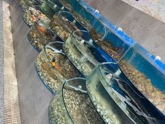 水产区-蓝珊甄选海鲜自助·火锅大排档(近阿那亚店)