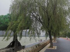 -咸阳湖景区