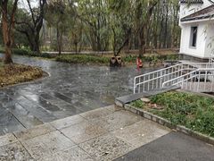-东湖落雁景区
