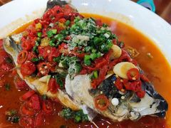 -全乐鱼馆·淳牌有机鱼直营店