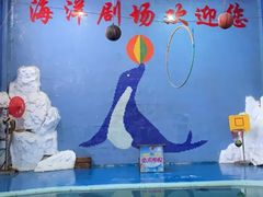 -左海海底世界