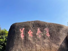 -阳台山森林公园