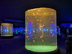 -江和美海洋公园