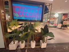 -春润大地海南椰子鸡(沙井京基百纳广场店)