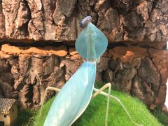 -紫荆广场·花漫里