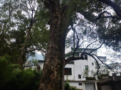 -上坦村