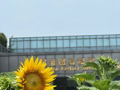 -武汉园博园(武汉自然博物馆)