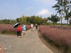 -南湖湿地公园