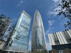 -深圳湾万象城(南山店)