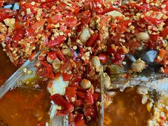 -柘林湖生态鱼馆