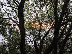 -梧桐山风景名胜区