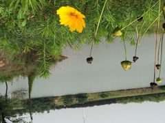 青松岭森林公园-东海森林温泉