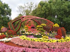 -上海共青森林公园