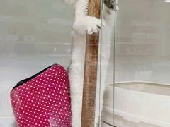 -乐宠宠物店(世纪金源店)