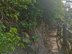 -木兰云雾山