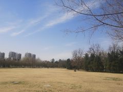 -泰丰公园