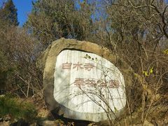 -白水寺森林公园