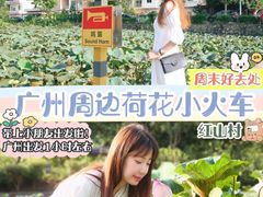 -红山村