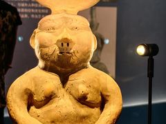 -广西壮族自治区博物馆