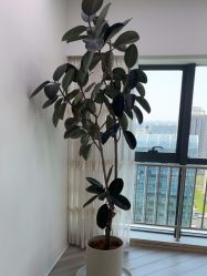 -HEYAN荷妍专业脱毛连锁机构