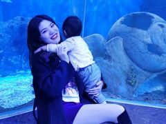 -多彩贵州城极地海洋世界